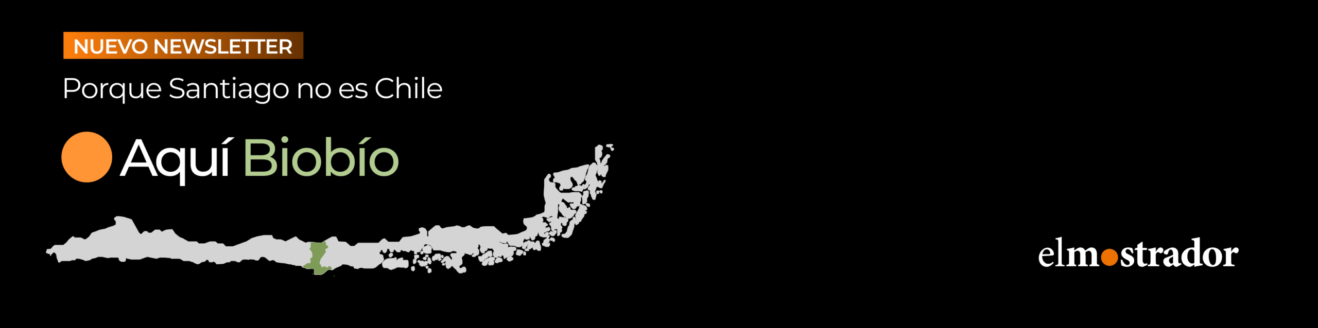 Biobio-web